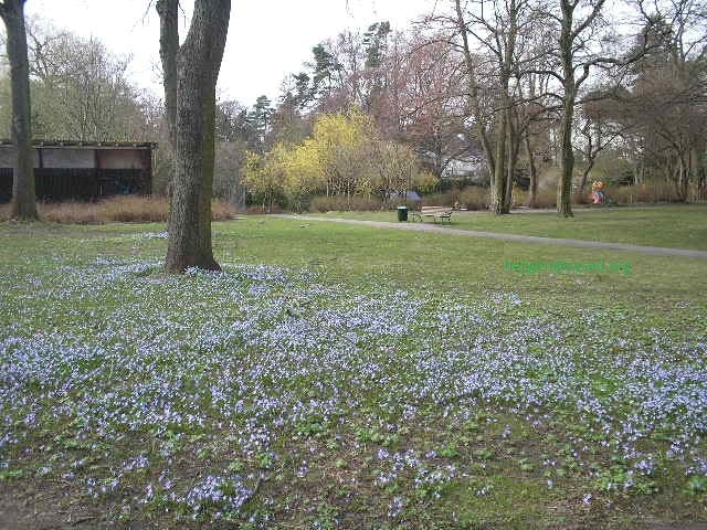 Bild/Foto